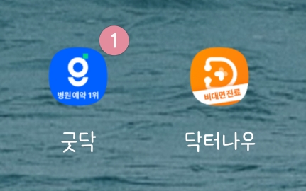 굿닥(goodoc) 앱으로 비대면 진료 본 후기